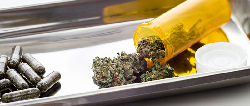 Harborside Health Center Tax Court Decision: Avoid The Cannabis Tax Trap!
